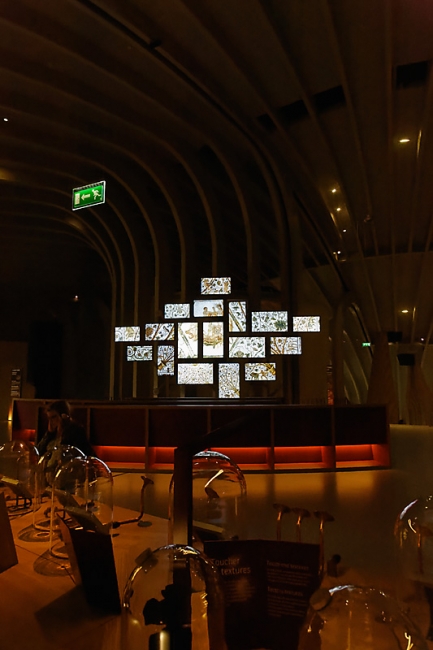 Visite Bernadette et Catherine-239